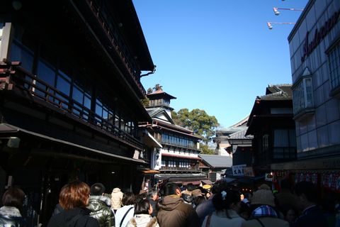 IMG_9595_s.jpg