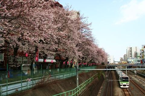 IMG_0098_s.jpg