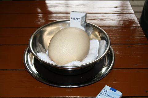 IMG_9252_s.jpg