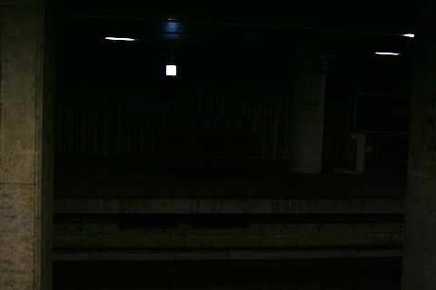 IMG_9553_s.jpg