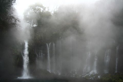IMG_9698_s.jpg