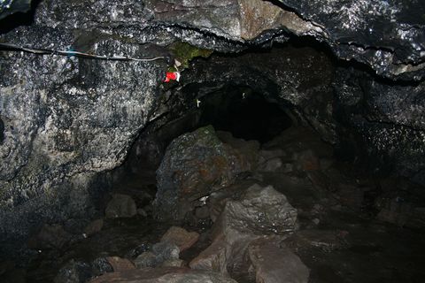 IMG_9706_s.jpg